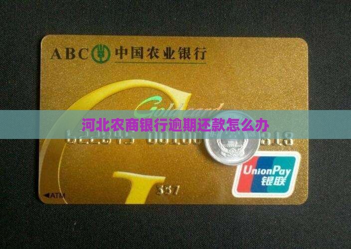 河北农商银行逾期还款怎么办