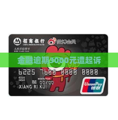 金融逾期3000元遭起诉