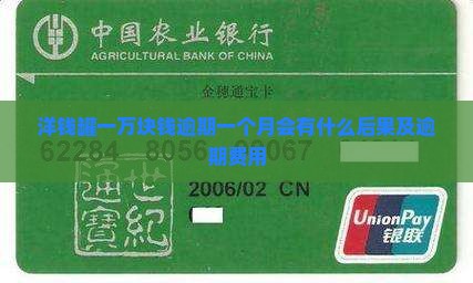 洋钱罐一万块钱逾期一个月会有什么后果及逾期费用