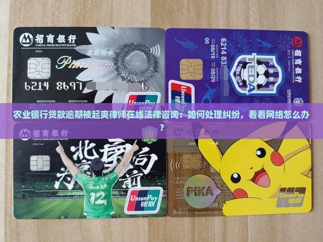 农业银行贷款逾期被起爽律师在线法律咨询：如何处理纠纷，看看网络怎么办？