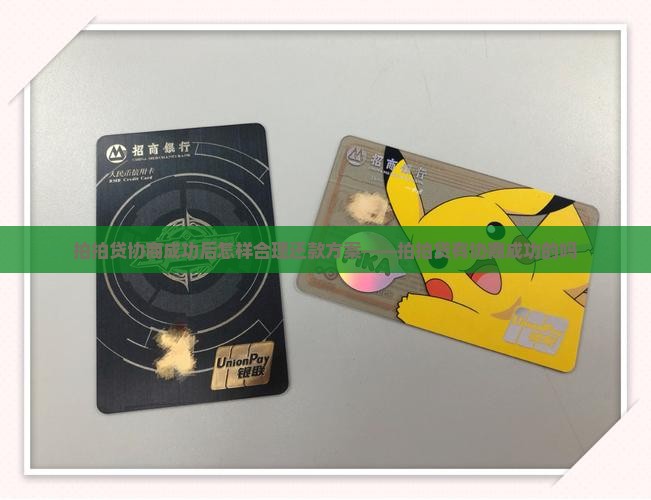 拍拍贷协商成功后怎样合理还款方案——拍拍贷有协商成功的吗