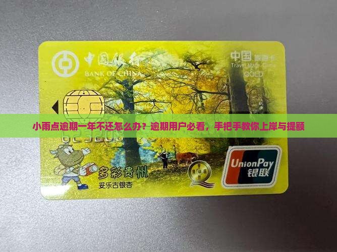 小雨点逾期一年不还怎么办？逾期用户必看，手把手教你上岸与提额
