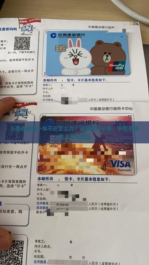 小雨点逾期一年不还怎么办？逾期用户必看，手把手教你上岸与提额
