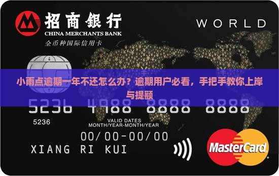 小雨点逾期一年不还怎么办？逾期用户必看，手把手教你上岸与提额