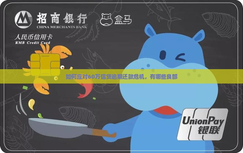 如何应对60万信贷逾期还款危机，有哪些良部