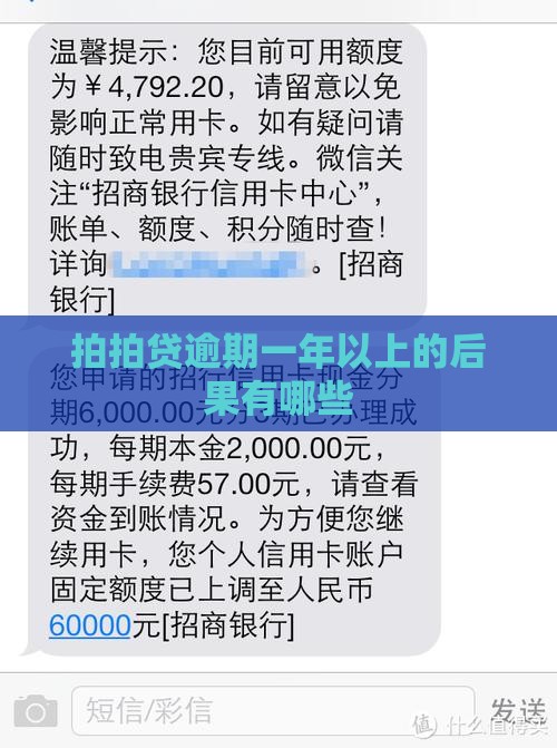 拍拍贷逾期一年以上的后果有哪些