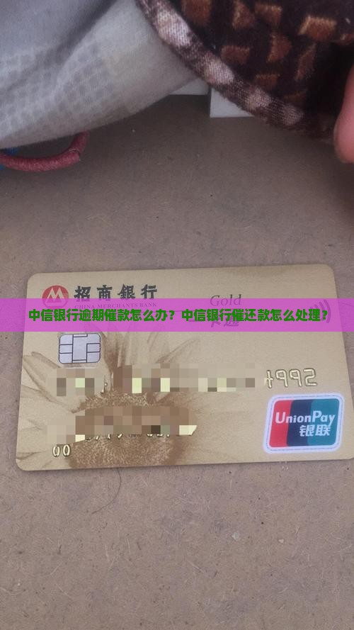 中信银行逾期催款怎么办？中信银行催还款怎么处理？