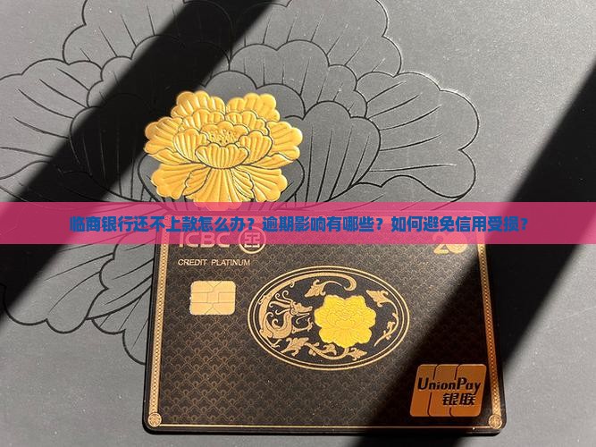 临商银行还不上款怎么办？逾期影响有哪些？如何避免信用受损？