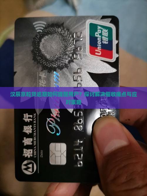 汉辰京粒贷逾期如何提醒用户？探讨解决催收痛点与应对策略