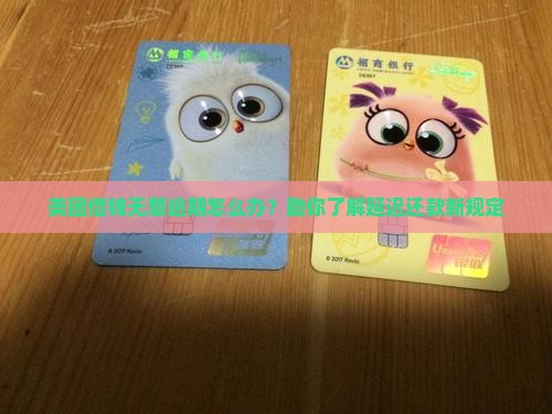 美团借钱无意逾期怎么办？助你了解延迟还款新规定