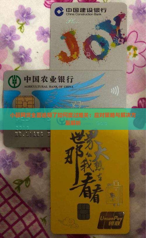 小额网贷全面逾期了如何度过难关：应对策略与解决方案解析