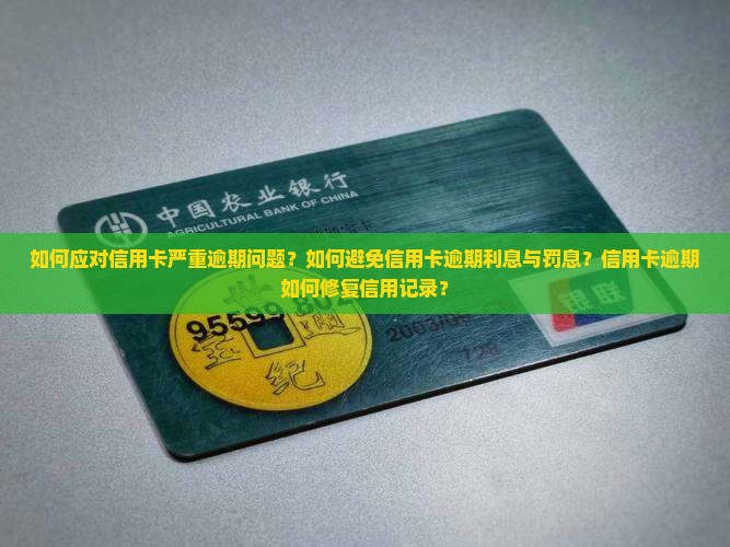 如何应对信用卡严重逾期问题？如何避免信用卡逾期利息与罚息？信用卡逾期如何修复信用记录？
