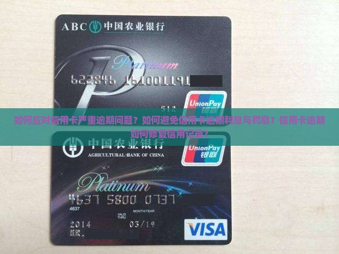 如何应对信用卡严重逾期问题？如何避免信用卡逾期利息与罚息？信用卡逾期如何修复信用记录？