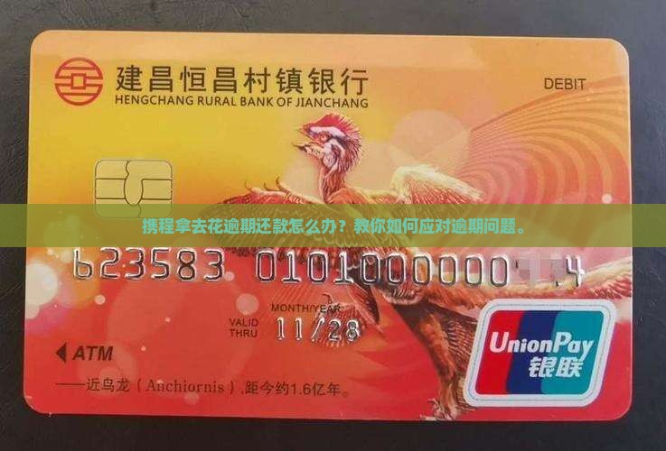 携程拿去花逾期还款怎么办？教你如何应对逾期问题。