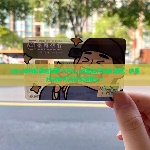 vivo钱包借款逾期两个月6000元如何快速处理，逾期还款有何高招缓解压力？