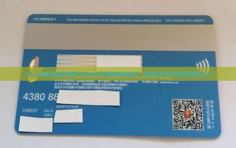vivo钱包借款逾期两个月6000元如何快速处理，逾期还款有何高招缓解压力？