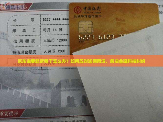 京东说要起诉我了怎么办？如何应对逾期风波，解决金融科技纠纷