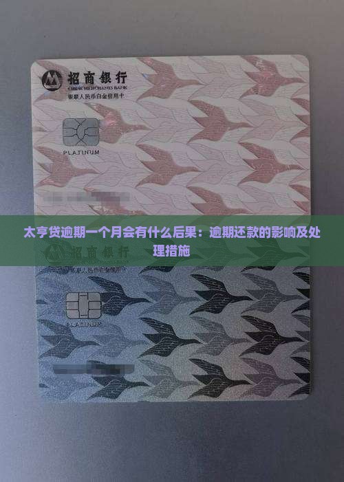 太亨贷逾期一个月会有什么后果：逾期还款的影响及处理措施