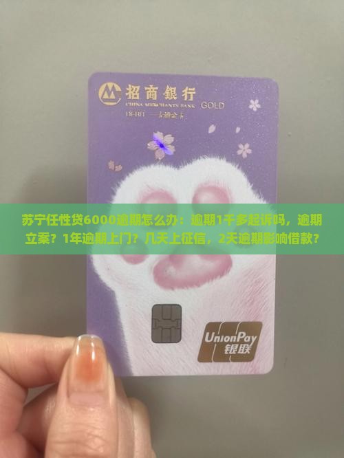 苏宁任性贷6000逾期怎么办：逾期1千多起诉吗，逾期立案？1年逾期上门？几天上征信，2天逾期影响借款？