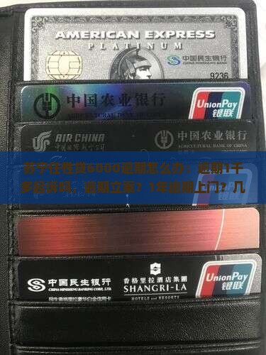 苏宁任性贷6000逾期怎么办：逾期1千多起诉吗，逾期立案？1年逾期上门？几天上征信，2天逾期影响借款？