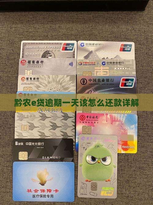 黔农e贷逾期一天该怎么还款详解
