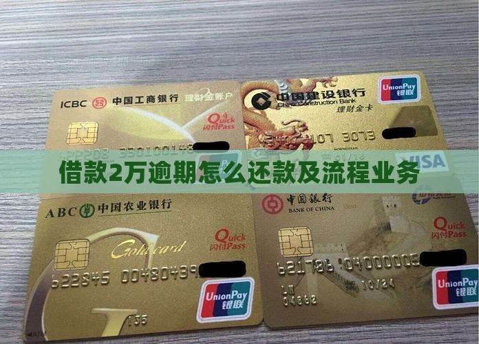 借款2万逾期怎么还款及流程业务