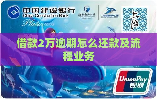 借款2万逾期怎么还款及流程业务