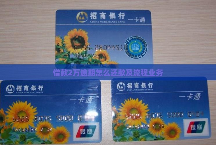 借款2万逾期怎么还款及流程业务