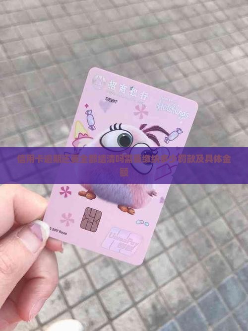 信用卡逾期还要全部结清吗需要缴纳多少罚款及具体金额