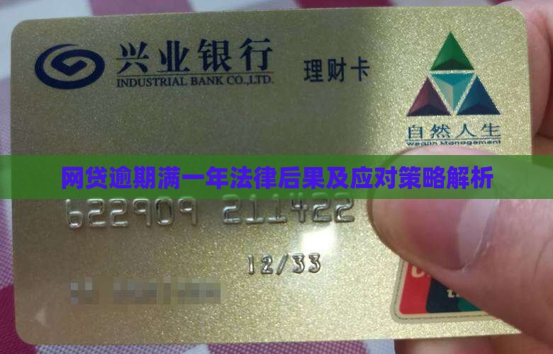 网贷逾期满一年法律后果及应对策略解析