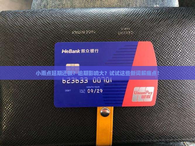 小雨点延期还款？逾期影响大？试试这些新词解痛点！