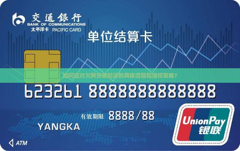 如何应对欠网贷被起诉的具体流程和维权策略？