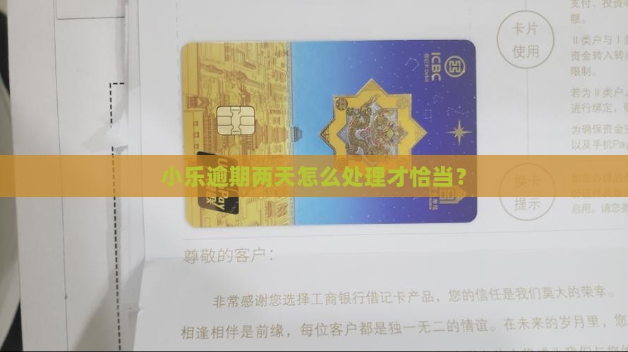 小乐逾期两天怎么处理才恰当？
