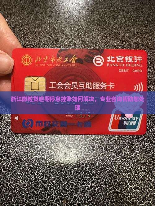 浙江微粒贷逾期停息挂账如何解决，专业咨询帮助您处理
