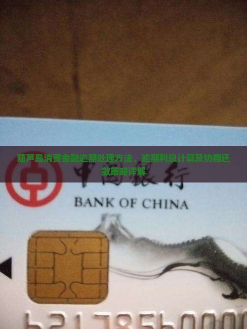 葫芦岛消费金融逾期处理方法、逾期利息计算及协商还款策略详解