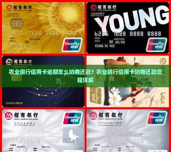 农业银行信用卡逾期怎么协商还款？农业银行信用卡协商还款流程详解
