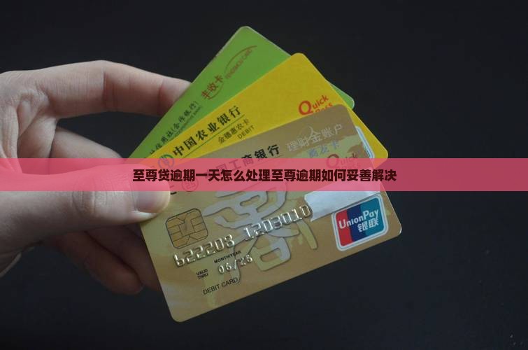 至尊贷逾期一天怎么处理至尊逾期如何妥善解决