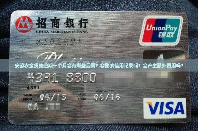 安徽农金贷款逾期一个月会有哪些后果？会影响信用记录吗？会产生额外费用吗？