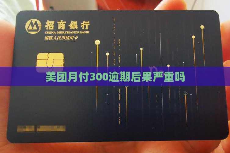 美团月付300逾期后果严重吗