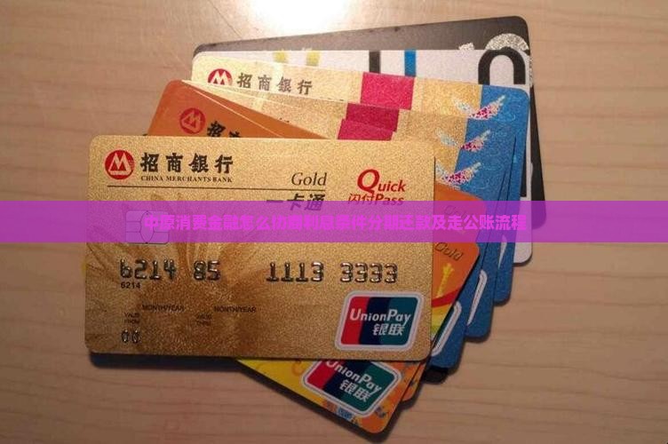 中原消费金融怎么协商利息条件分期还款及走公账流程