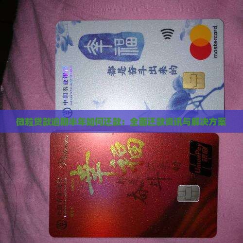 微粒贷款逾期半年如何还款：全面还款资讯与解决方案