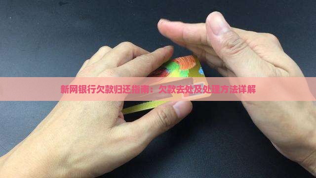 新网银行欠款归还指南:欠款去处及处理方法详解 新网银行欠款归还指南:欠款去处及处理方法详解