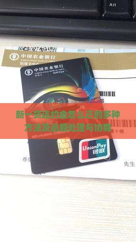 新一贷违约金怎么还的多种方法及逾期处理与协商