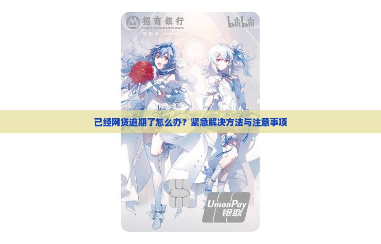 已经网贷逾期了怎么办？紧急解决方法与注意事项