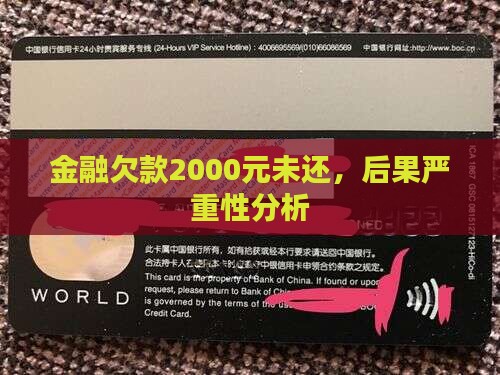 金融欠款2000元未还，后果严重性分析