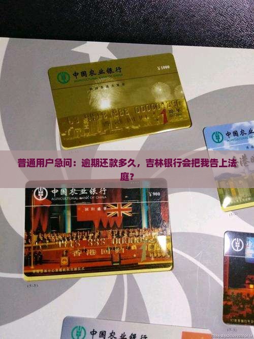 普通用户急问：逾期还款多久，吉林银行会把我告上法庭？