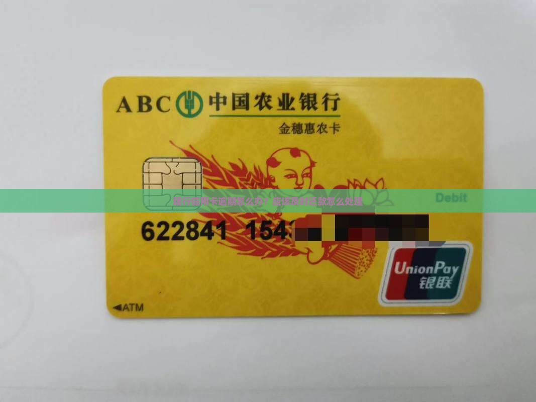 建行信用卡逾期怎么办？应该及时还款怎么处理