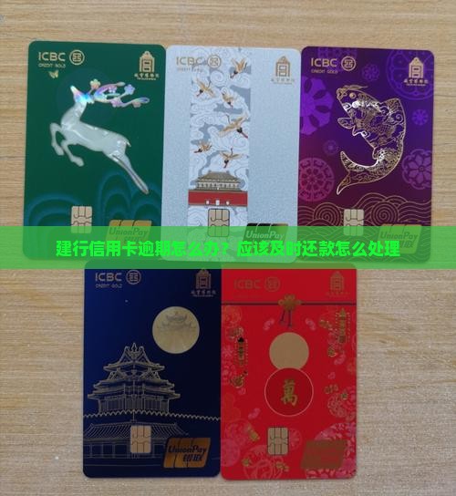 建行信用卡逾期怎么办？应该及时还款怎么处理