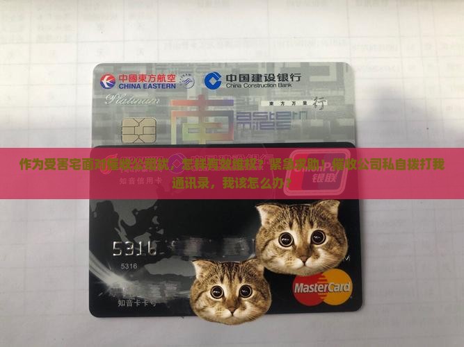 作为受害宅面对催收公司扰，怎样有效维权？紧急求助！催收公司私自拨打我通讯录，我该怎么办？