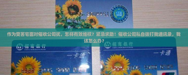 作为受害宅面对催收公司扰，怎样有效维权？紧急求助！催收公司私自拨打我通讯录，我该怎么办？